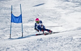 星空体育-红王解盘深度剖析，11月28日科莫比赛支持力度强劲