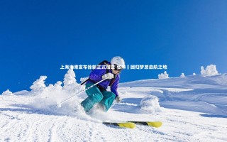 星空体育：上海海港宣布徐新正式加盟 张琳芃回归梦想启航之地