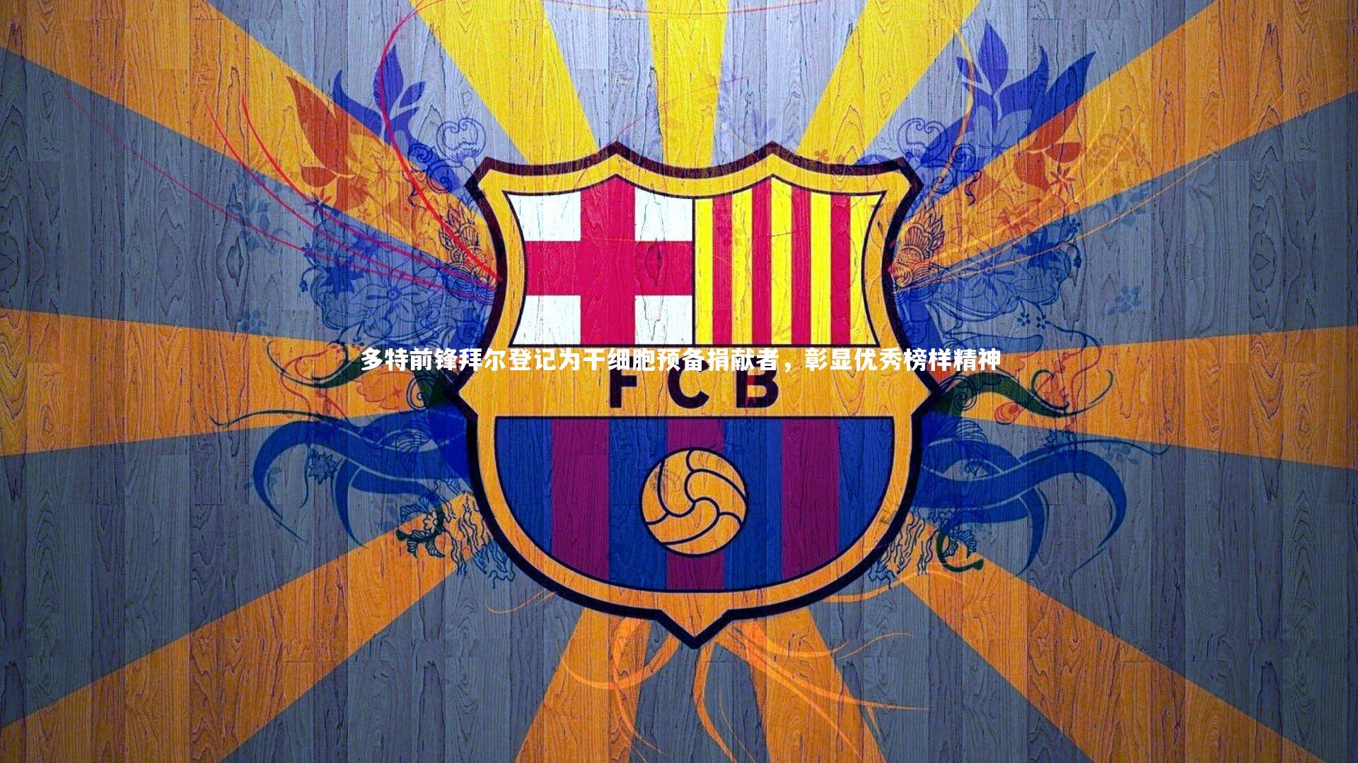 星空体育:多特前锋拜尔登记为干细胞预备捐献者,彰显优秀榜样精神-第2张图片-星空体育(中国)官方网站 - 星空体育APP下载 - STARRY 星空体育:多特前锋拜尔登记为干细胞预备捐献者,彰显优秀榜样精神-第2张图片-星空体育(中国)官方网站 - 星空体育APP下载 - STARRY